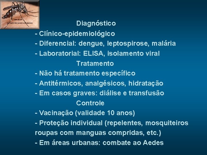 Diagnóstico - Clínico-epidemiológico - Diferencial: dengue, leptospirose, malária - Laboratorial: ELISA, isolamento viral Tratamento