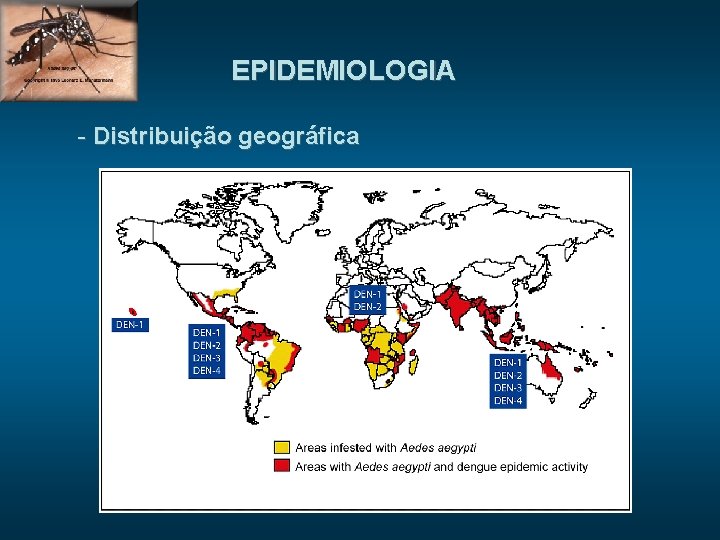 EPIDEMIOLOGIA - Distribuição geográfica 