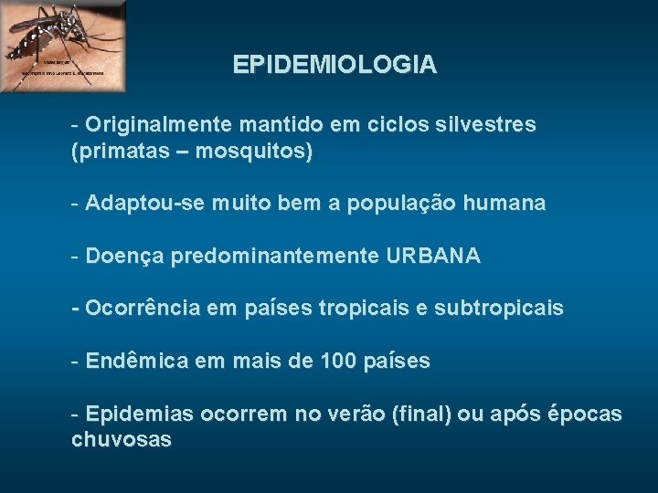 EPIDEMIOLOGIA - Originalmente mantido em ciclos silvestres (primatas – mosquitos) - Adaptou-se muito bem