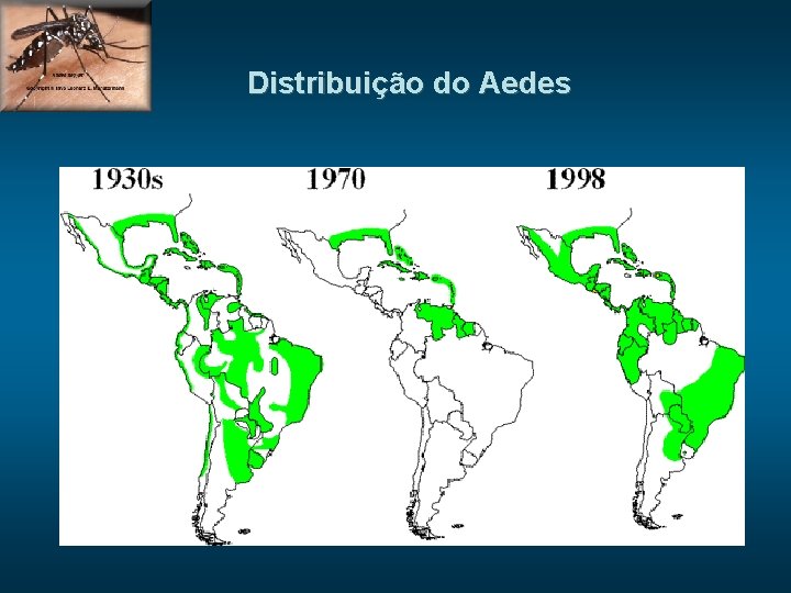 Distribuição do Aedes 