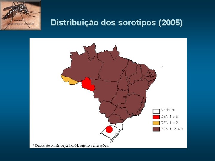 Distribuição dos sorotipos (2005) 