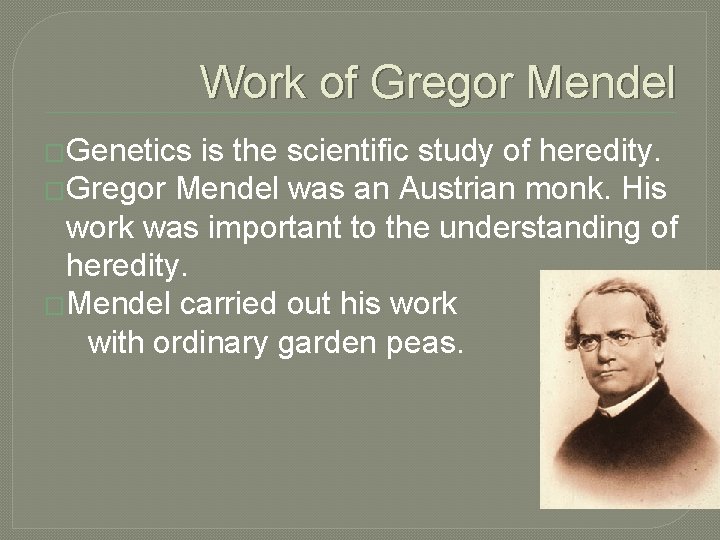 Work of Gregor Mendel �Genetics is the scientific study of heredity. �Gregor Mendel was