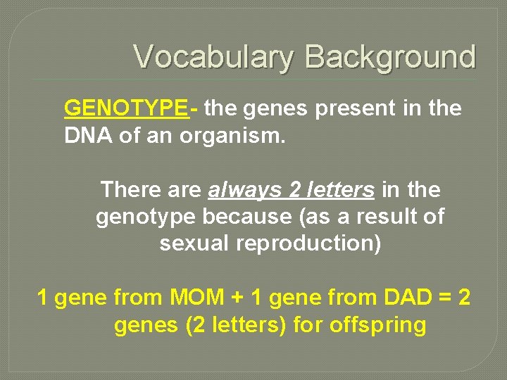 Vocabulary Background GENOTYPE- the genes present in the DNA of an organism. There always