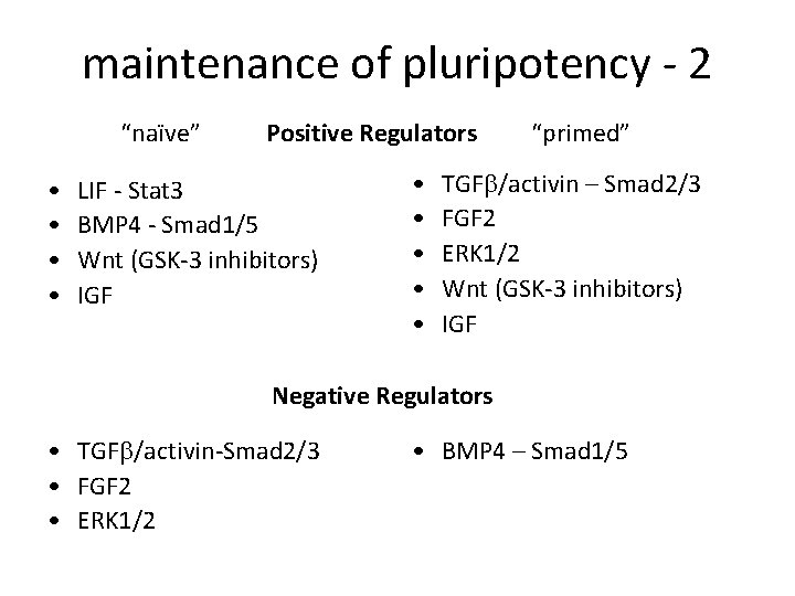maintenance of pluripotency - 2 “naïve” • • Positive Regulators LIF - Stat 3