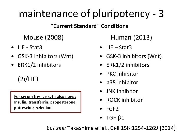 maintenance of pluripotency - 3 “Current Standard” Conditions Mouse (2008) • LIF - Stat