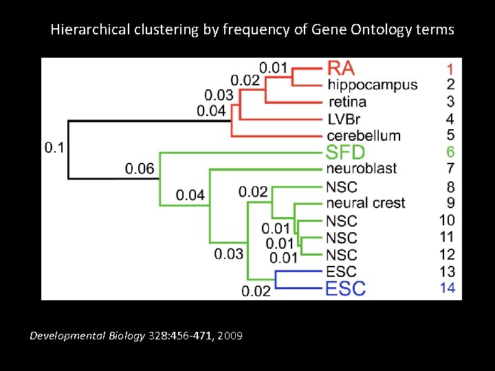 Hierarchical clustering by frequency of Gene Ontology terms Developmental Biology 328: 456 -471, 2009