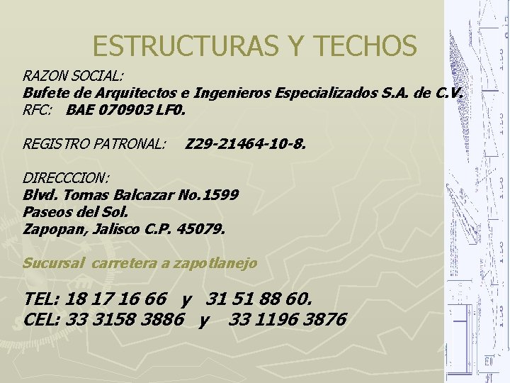 ESTRUCTURAS Y TECHOS RAZON SOCIAL: Bufete de Arquitectos e Ingenieros Especializados S. A. de