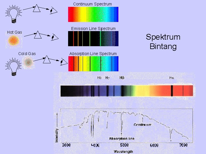 Spektrum Bintang 