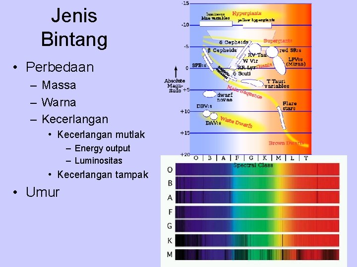 Jenis Bintang • Perbedaan – Massa – Warna – Kecerlangan • Kecerlangan mutlak –