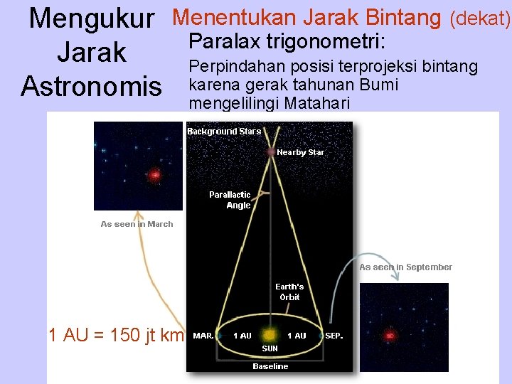 Mengukur Jarak Astronomis Menentukan Jarak Bintang (dekat) 1 AU = 150 jt km Paralax