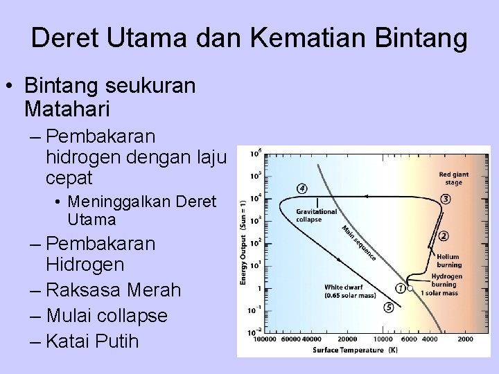 Deret Utama dan Kematian Bintang • Bintang seukuran Matahari – Pembakaran hidrogen dengan laju