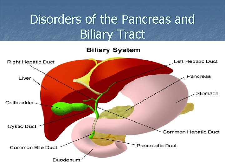 Disorders of the Pancreas and Biliary Tract 