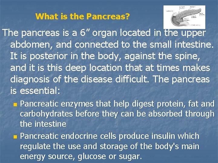 What is the Pancreas? The pancreas is a 6” organ located in the upper