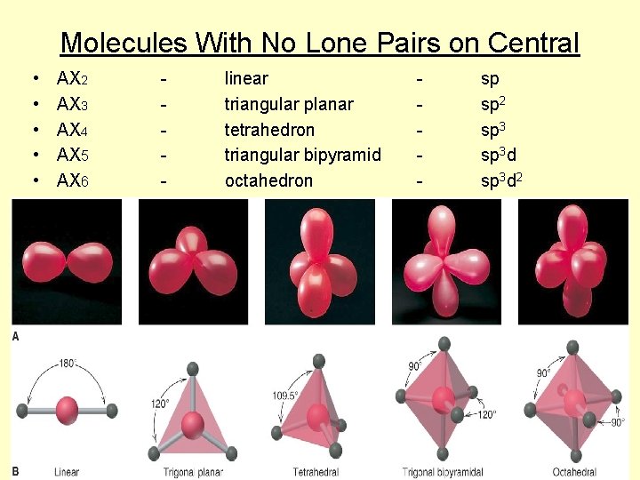 Molecules With No Lone Pairs on Central • • • AX 2 AX 3