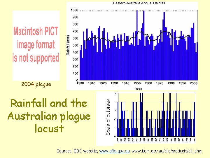 Rainfall and the Australian plague locust Scale of outbreak 2004 plague Sources: BBC website;