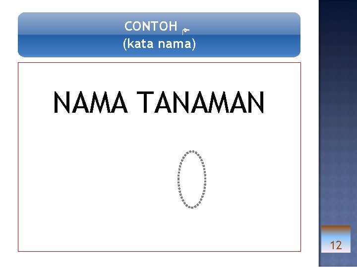 CONTOH ـﻢ (kata nama) NAMA TANAMAN 12 