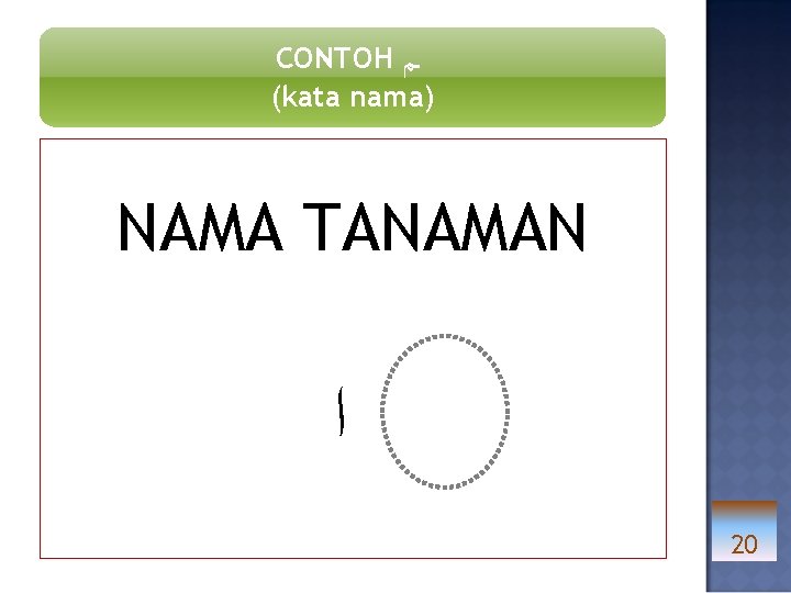 CONTOH ـﻢ (kata nama) NAMA TANAMAN ﺍ 20 