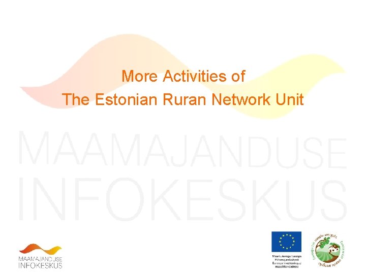 More Activities of The Estonian Ruran Network Unit 