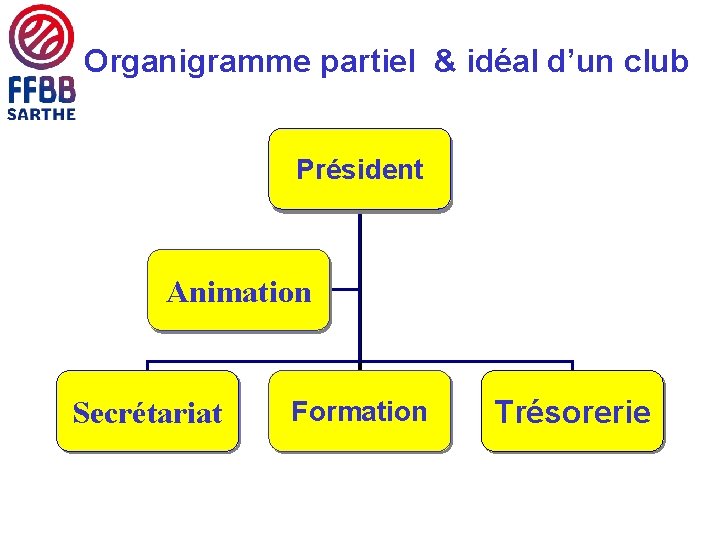 Organigramme partiel & idéal d’un club Président Animation Secrétariat Formation Trésorerie 