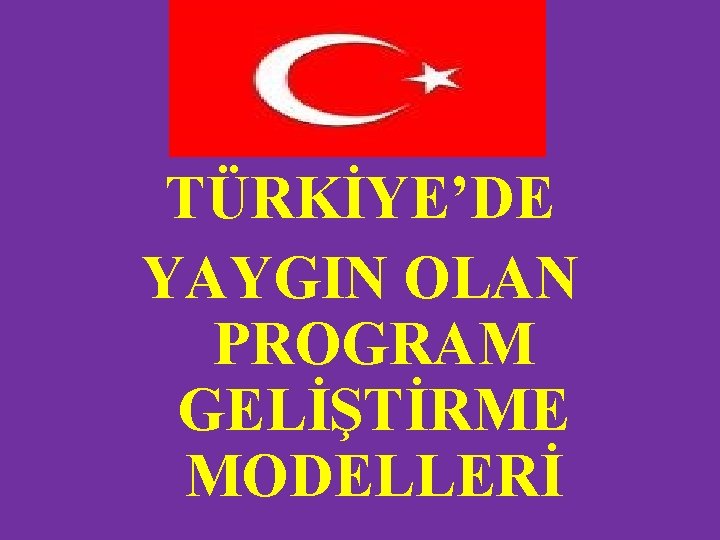 TÜRKİYE’DE YAYGIN OLAN PROGRAM GELİŞTİRME MODELLERİ 