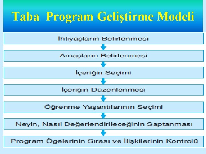 Taba Program Geliştirme Modeli 