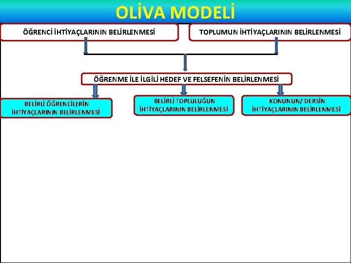 OLİVA MODELİ ÖĞRENCİ İHTİYAÇLARININ BELİRLENMESİ TOPLUMUN İHTİYAÇLARININ BELİRLENMESİ ÖĞRENME İLGİLİ HEDEF VE FELSEFENİN BELİRLENMESİ