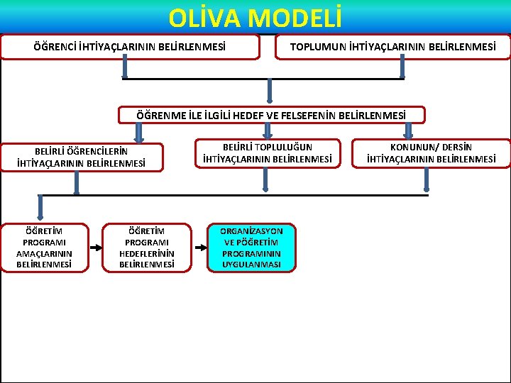 OLİVA MODELİ ÖĞRENCİ İHTİYAÇLARININ BELİRLENMESİ TOPLUMUN İHTİYAÇLARININ BELİRLENMESİ ÖĞRENME İLGİLİ HEDEF VE FELSEFENİN BELİRLENMESİ