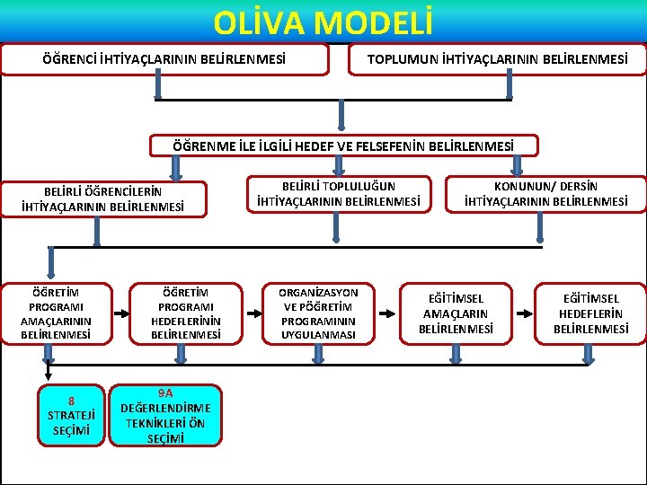 OLİVA MODELİ ÖĞRENCİ İHTİYAÇLARININ BELİRLENMESİ TOPLUMUN İHTİYAÇLARININ BELİRLENMESİ ÖĞRENME İLGİLİ HEDEF VE FELSEFENİN BELİRLENMESİ