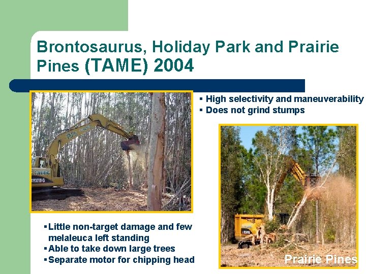 Brontosaurus, Holiday Park and Prairie Pines (TAME) 2004 § High selectivity and maneuverability §