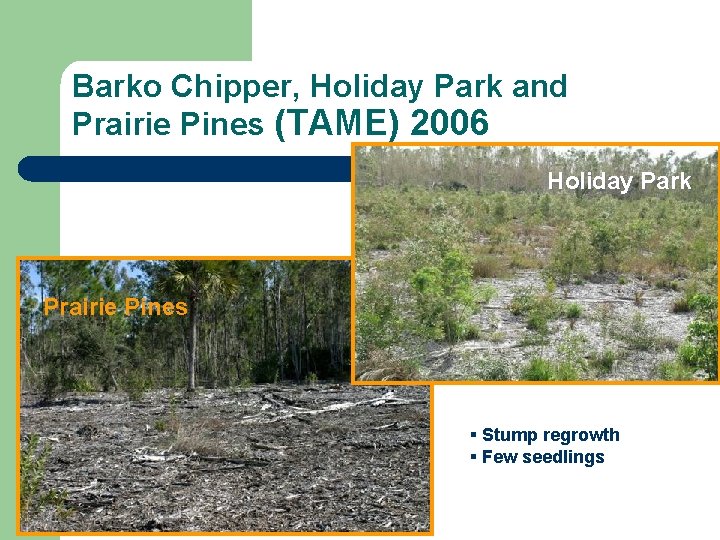 Barko Chipper, Holiday Park and Prairie Pines (TAME) 2006 Holiday Park Prairie Pines §