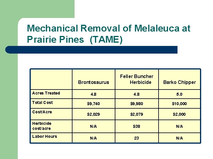 Mechanical Removal of Melaleuca at Prairie Pines (TAME) Brontosaurus Feller Buncher Herbicide Barko Chipper