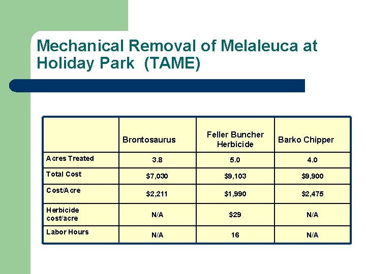 Mechanical Removal of Melaleuca at Holiday Park (TAME) Brontosaurus Acres Treated Feller Buncher Herbicide