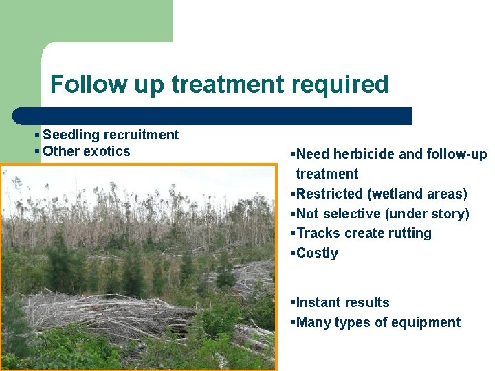 Follow up treatment required § Seedling recruitment § Other exotics §Need herbicide and follow-up