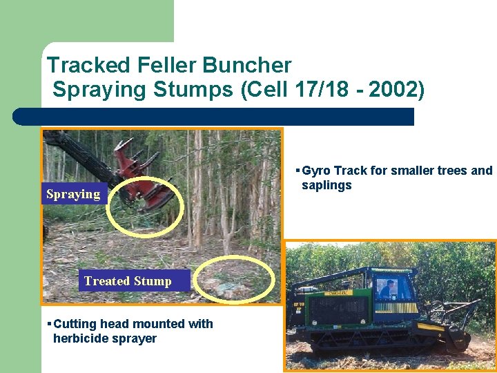 Tracked Feller Buncher Spraying Stumps (Cell 17/18 - 2002) Spraying Treated Stump § Cutting