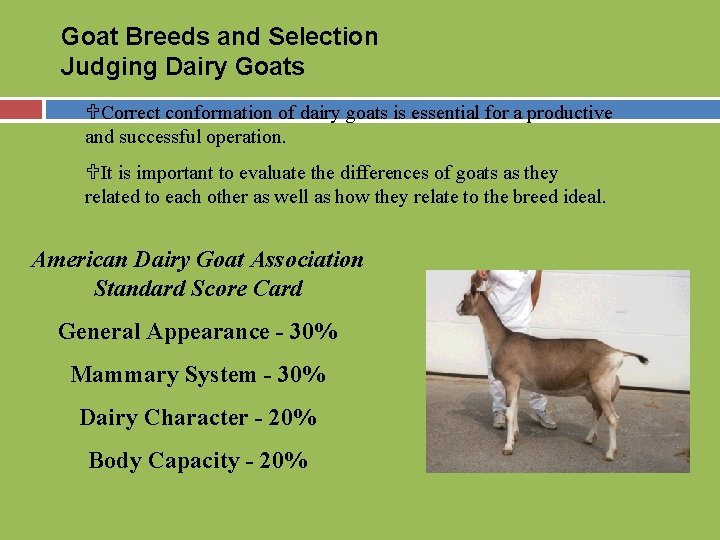 Goat Breeds and Selection Judging Dairy Goats UCorrect conformation of dairy goats is essential