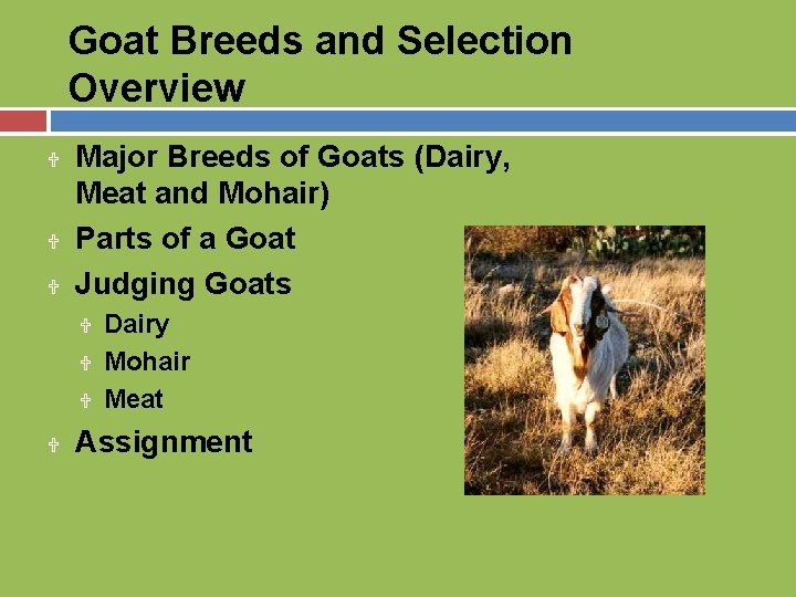 Goat Breeds and Selection Overview U U U Major Breeds of Goats (Dairy, Meat