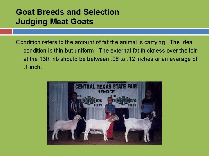 Goat Breeds and Selection Judging Meat Goats Condition refers to the amount of fat