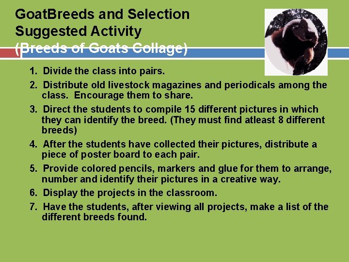 Goat. Breeds and Selection Suggested Activity (Breeds of Goats Collage) 1. Divide the class