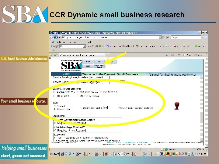 CCR Dynamic small business research 