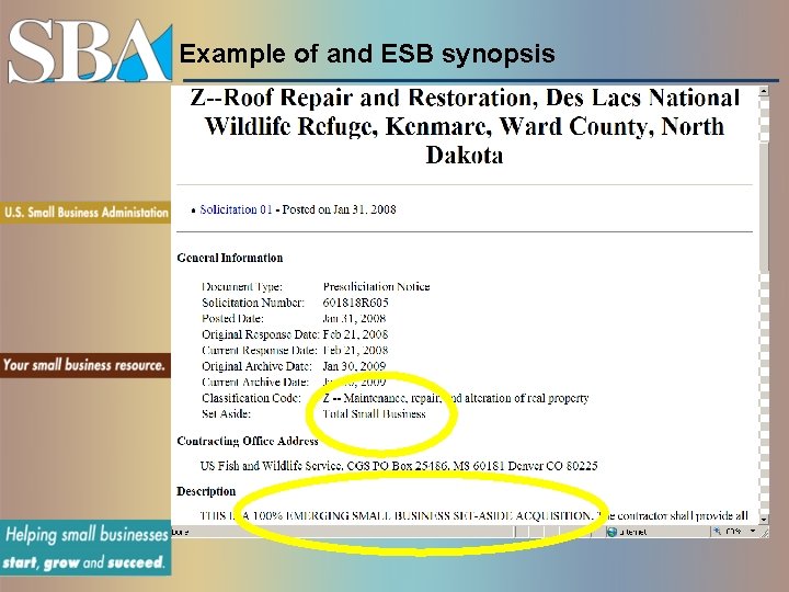 Example of and ESB synopsis 