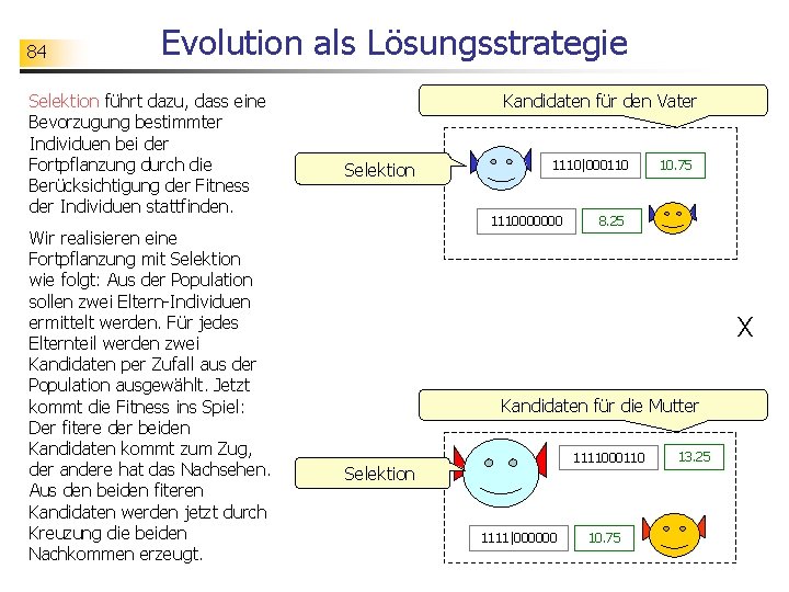 84 Evolution als Lösungsstrategie Selektion führt dazu, dass eine Bevorzugung bestimmter Individuen bei der