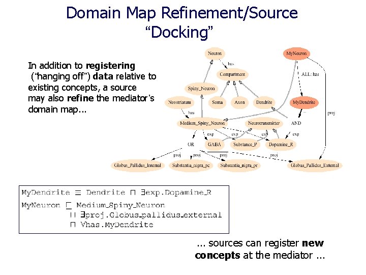  Domain Map Refinement/Source “Docking” In addition to registering (“hanging off”) data relative to