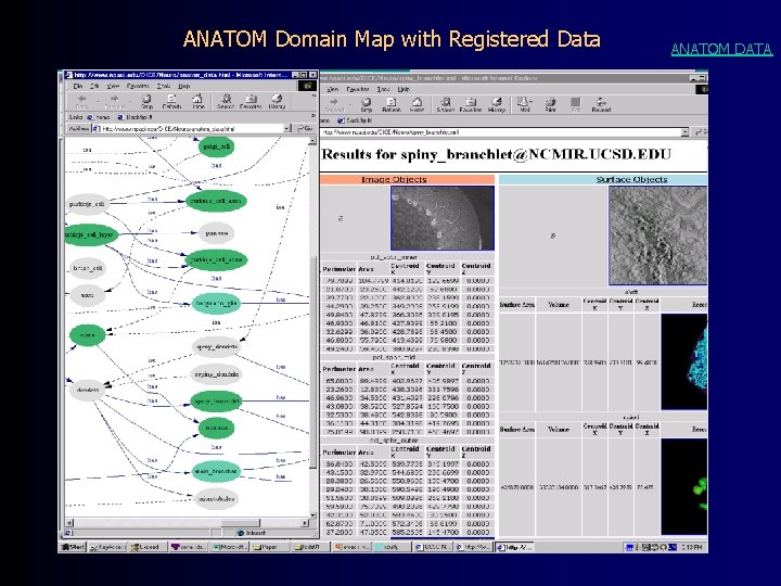 ANATOM Domain Map with Registered Data ANATOM DATA 