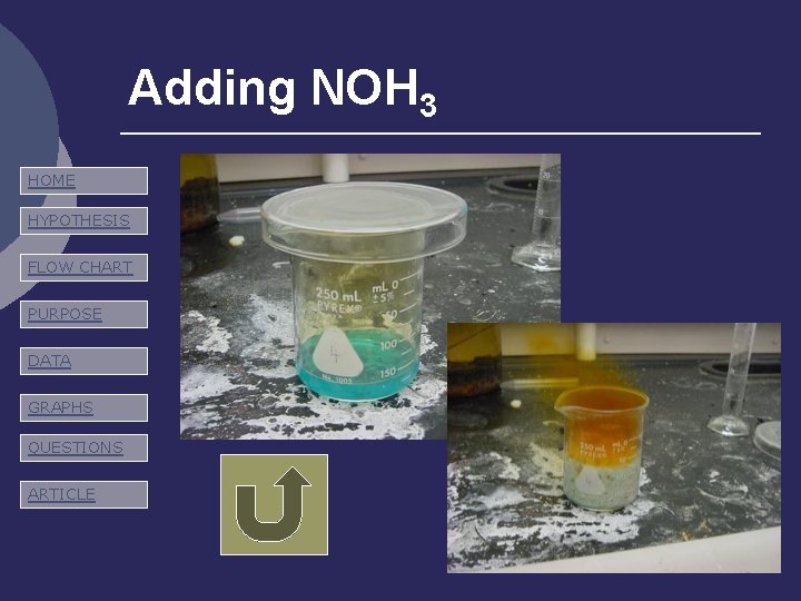 Adding NOH 3 HOME HYPOTHESIS FLOW CHART PURPOSE DATA GRAPHS QUESTIONS ARTICLE 