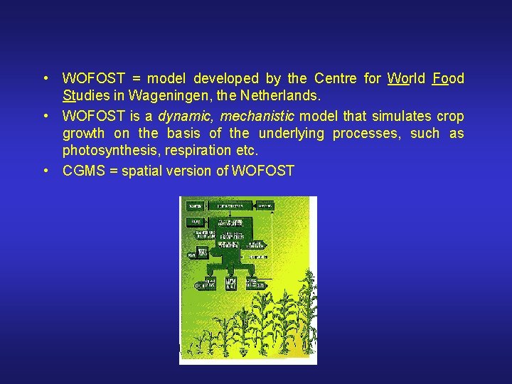  • WOFOST = model developed by the Centre for World Food Studies in