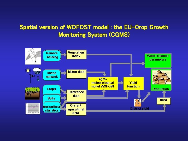 Spatial version of WOFOST model : the EU-Crop Growth Monitoring System (CGMS) Remote sensing