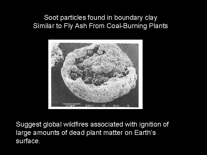 Soot particles found in boundary clay Similar to Fly Ash From Coal-Burning Plants Suggest