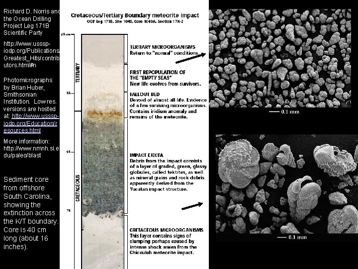 Richard D. Norris and the Ocean Drilling Project Leg 171 B Scientific Party http: