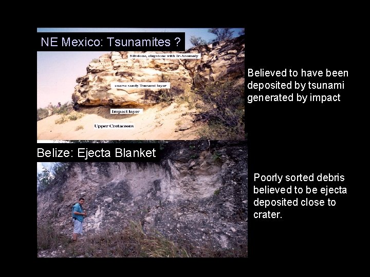 NE Mexico: Tsunamites ? Believed to have been deposited by tsunami generated by impact