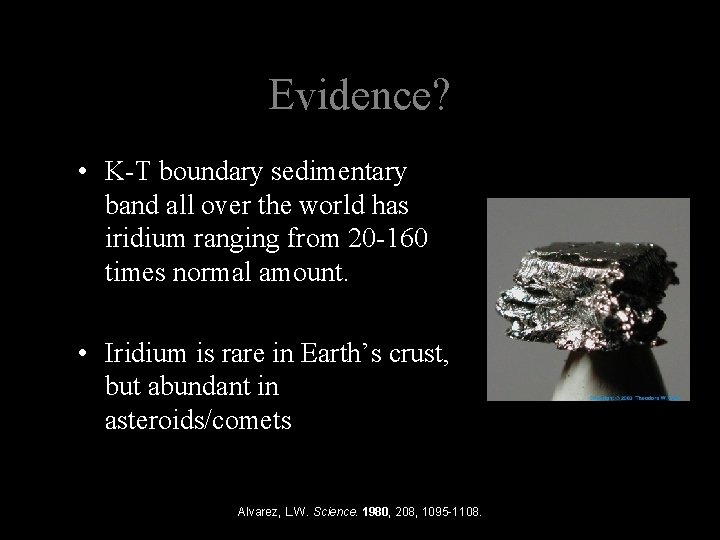 Evidence? • K-T boundary sedimentary band all over the world has iridium ranging from